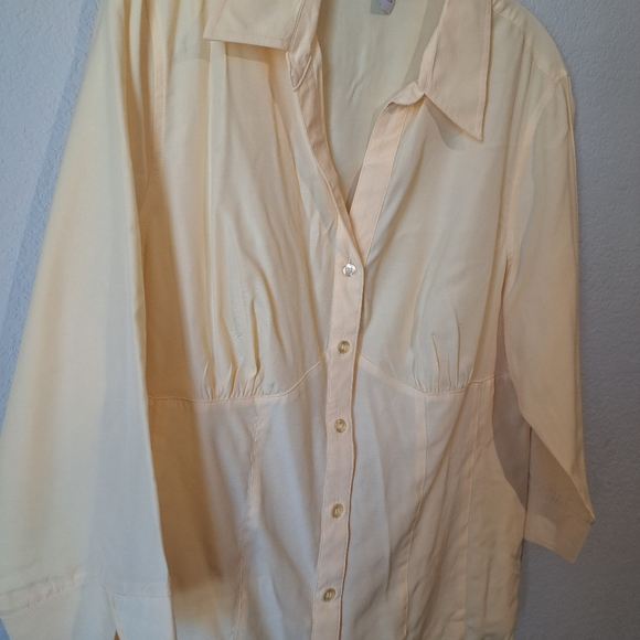 Dressbarn button down shirt. Light yellow and Corset style - Picture 4 of 13